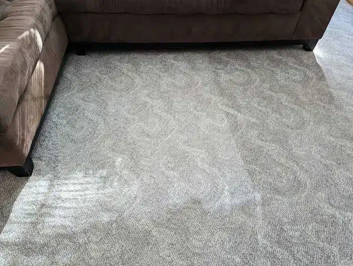 Cleaning Your Carpets Cleans Your Indoor Air