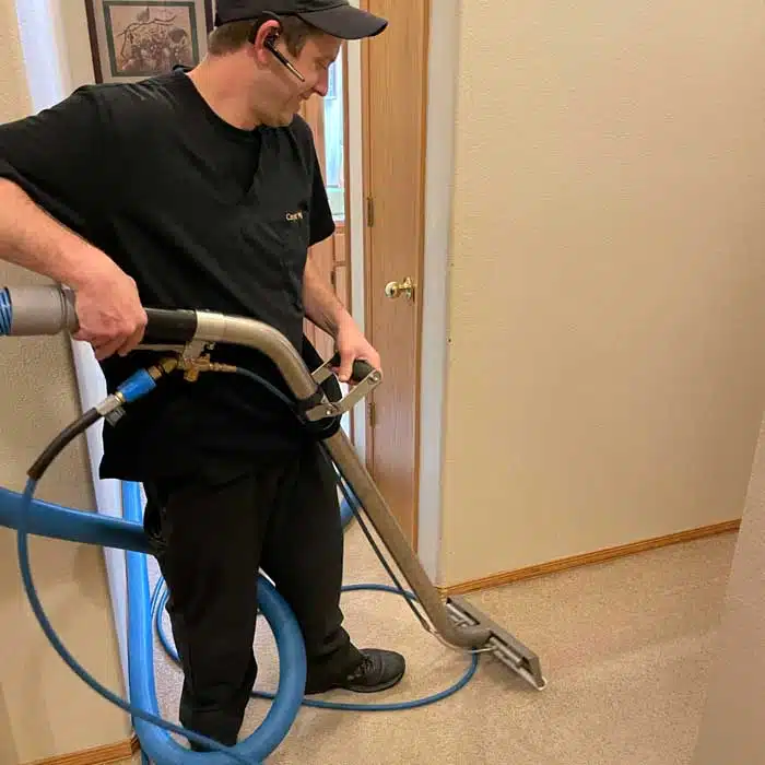 Professional Carpet Cleaning Method